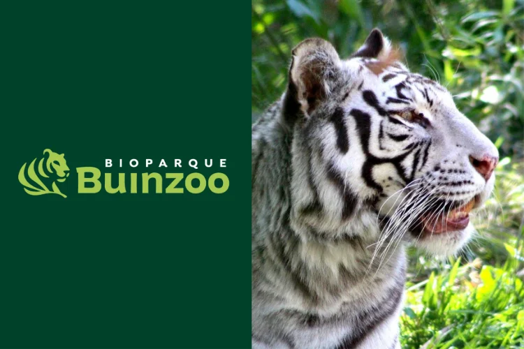 Ven a disfrutar de un día en Buin Zoo (Fast Pass)