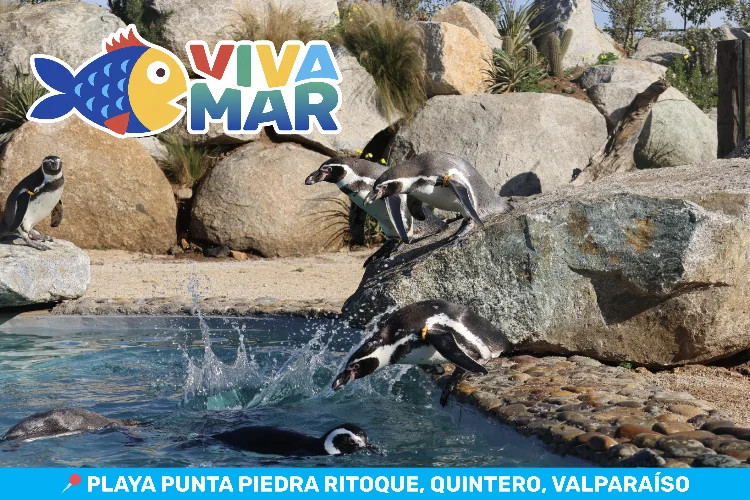 Acuario Viva Mar