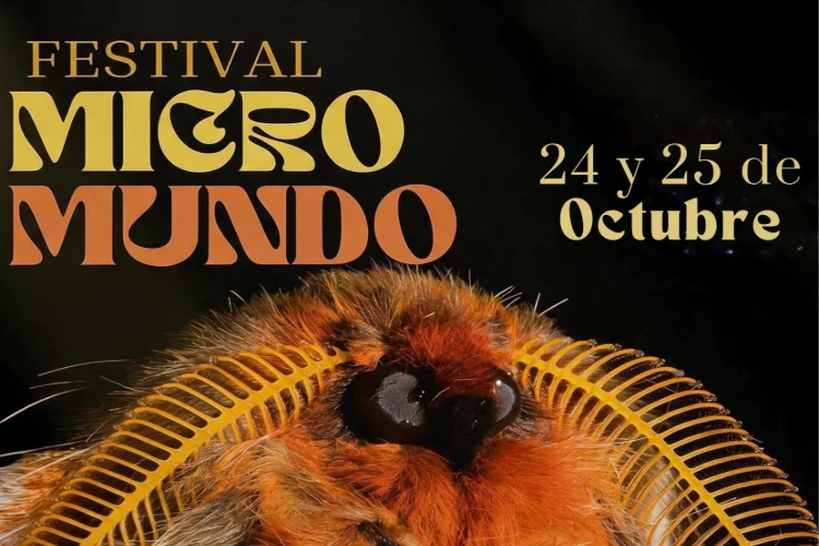 Festival del Micromundo - 24 y 25 de Octubre
