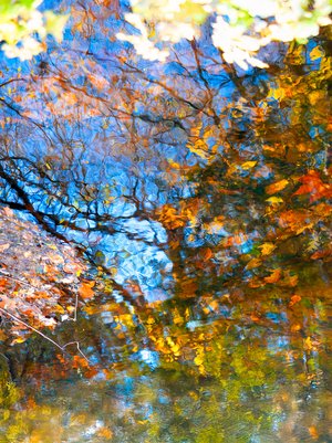 Reflections of Autumn  by Marc VanDermeer