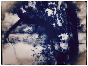 Japanesse Silk by Marc VanDermeer (2026)