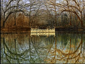 Autumn Dreams  by Marc VanDermeer (2024)
