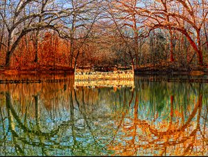 Autumn Dreams   by Marc VanDermeer (2026)
