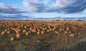Field by Kathleen Wert (2021)