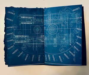 Priscilla Otani — portfolio