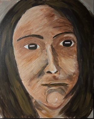 Shame by suzanne sillery (2026)