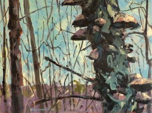 Winter Mushrooms by Christopher Mac Kinnon