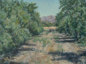 Between Olive Trees by Kerima Swain