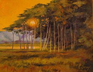 Shining Throigh  by Ed Lucey