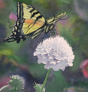 Swallowtail on a Flower by Samantha McNally