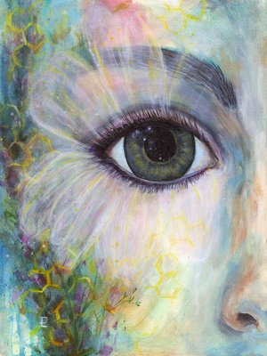 Cosmos by Debbee Lotito (2026)