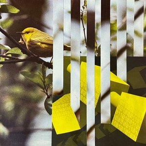 Yellow by Colleen Hammond (2025)