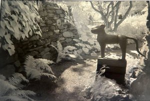 The Sultan’s Garden by jacquelyn etling