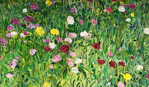 Sweet William in the Grass by Maggie Bandstra (2024)