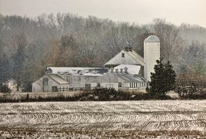 carol lloyd — portfolio