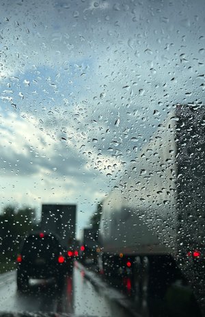 Through Winter Glass by Maria C. Friscia