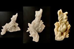 Transformation by Deborah Splain (2026)