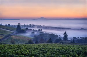 dundeehills by Kathleen Grady