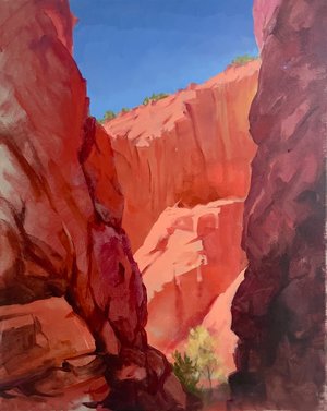Slot Canyon, New Mexico by Nancy Bea Miller