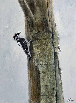 Alder Snag With Downy Woodpecker  by Gary Shinn (2026)