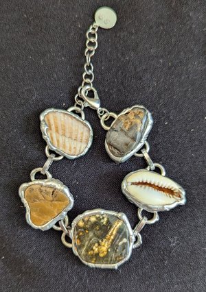 1000010965tidepools by Lynn Lentz (2025)