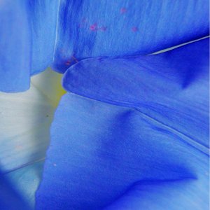 Mary Gerakaris — portfolio