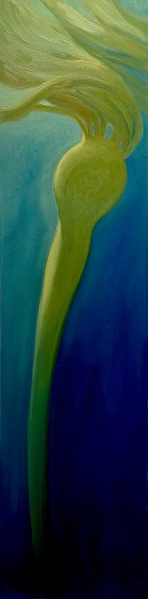 Bull Kelp by Monica Loncola (2025)