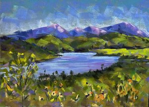 Janine Cooley