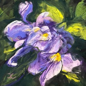 Orchids by Janine Cooley (2026)