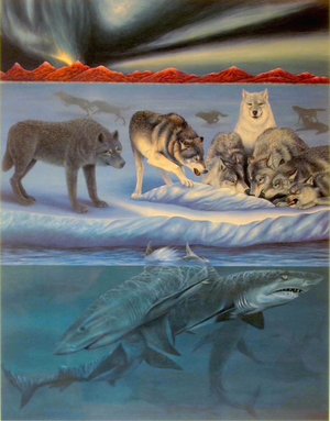 The Misunderstood by Brendon Connors (1987)