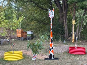 Crazy Cat by Tim Burke (2018)