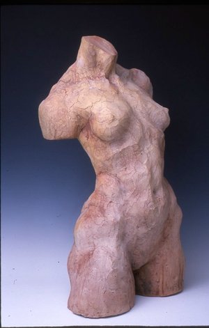 Desert Venus by Nathalie Whisman