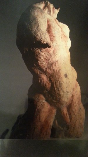 Male Torso by Nathalie Whisman