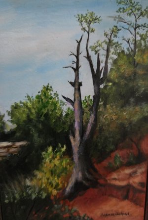 Exploring Arizona  by Jeanie Gordon