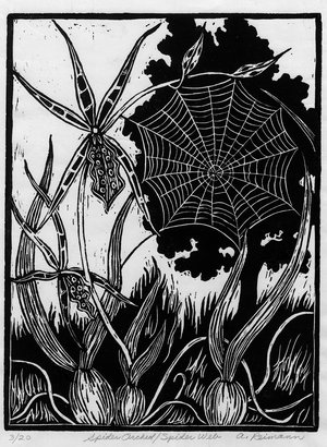 Spider Orchid / Spider Web by Arline Reimann