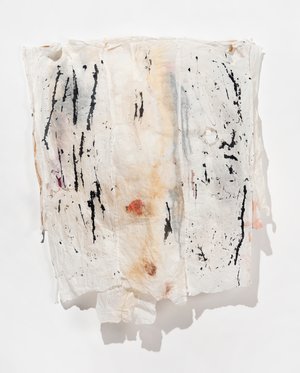 Fragility of Existence by Susan Zimmerman (2025)