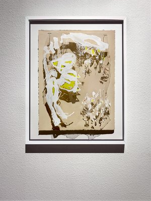 Natalie Shaw — portfolio