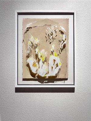 Natalie Shaw — portfolio