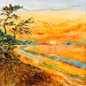 Tamarindo Sunset by Joan Capaldo