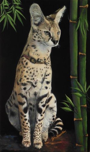 Savanna Cat by Janice Freischlag (2025)
