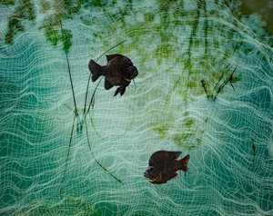Tiny Drifters by Jeanne Garrett (2025)