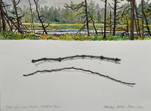 Pond along Lasso Road, Sleeping Bear National Lakeshore, Spring 2025 by Mary Aro