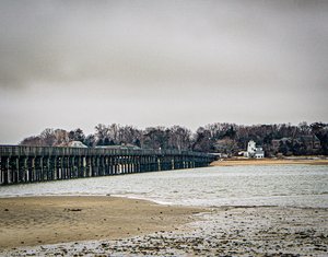 Long Wait 'Til Summer by Judith Montminy (2022)
