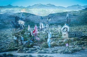 Elizabeth Ryan — portfolio