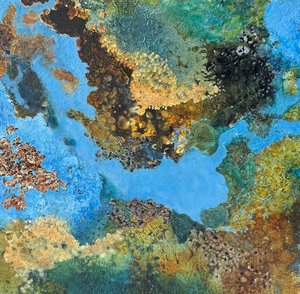 Barnacles II by carol ross