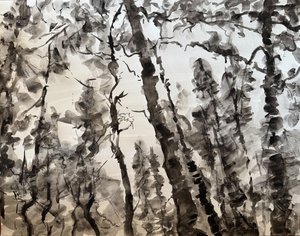  Forest In The Rain  by Katharine Philip (2026)
