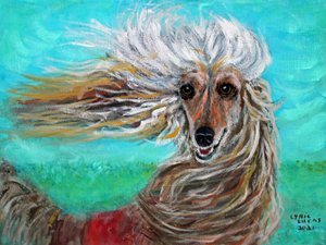 Windblown (framed) by Lyric Lucas