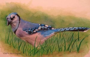 Elusive Blue by Alice Olson Seufert