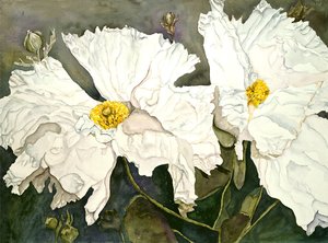adrienne rogers