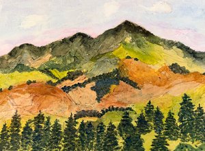 Diablo Spring by adrienne rogers (2026)